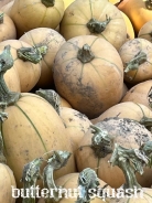 A still life by the farmer...trailerload,butternut