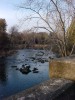 Bronson Rapids