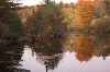 Fall colours around Marmora