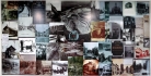Marmora Historical Collage Marmora Historical Collage