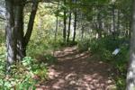 Delightful Nature Trail with interpretive signage