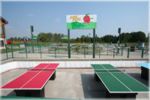 Ping Pong, Shuffleboard, and Lawn Bowling (Bocce) are FREE, too!